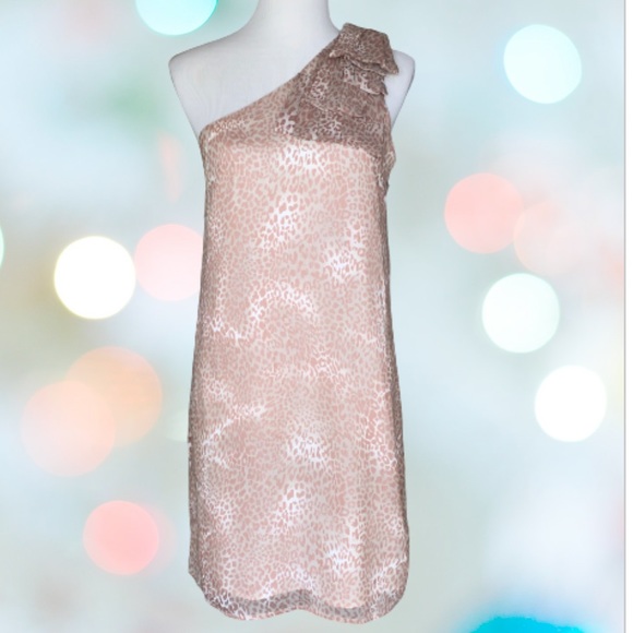 Walter Baker Dresses & Skirts - Walter Baker One Shoulder Chiffon Dress Sz Small